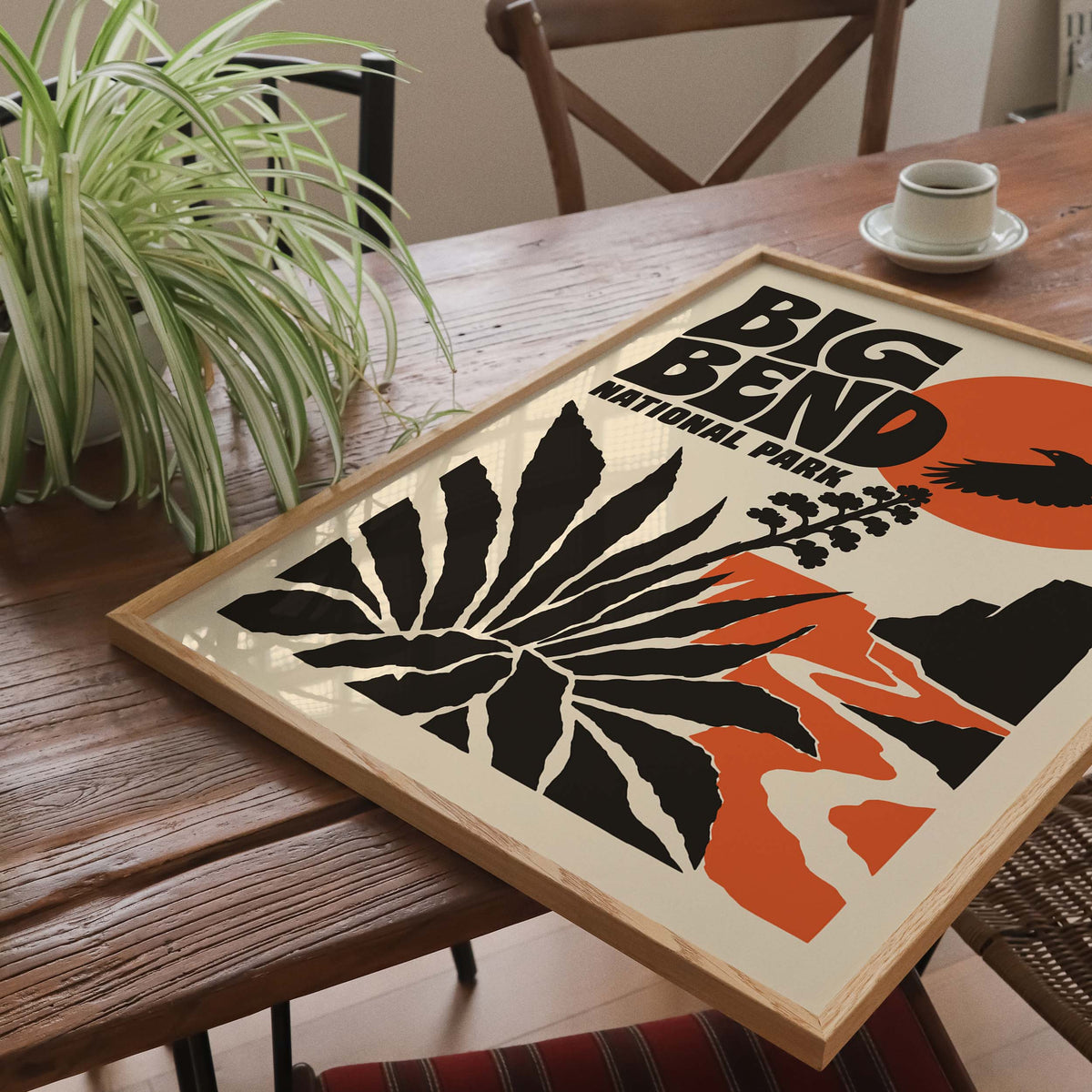 Big Bend National Park Poster Print