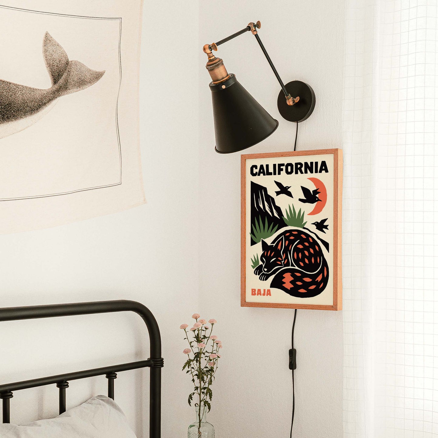 California Baja Fox Poster Print