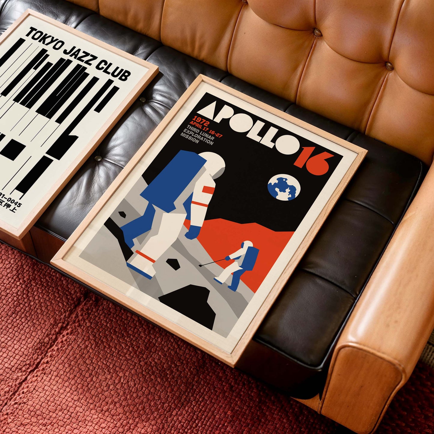 Apollo Sixteen Wall Art