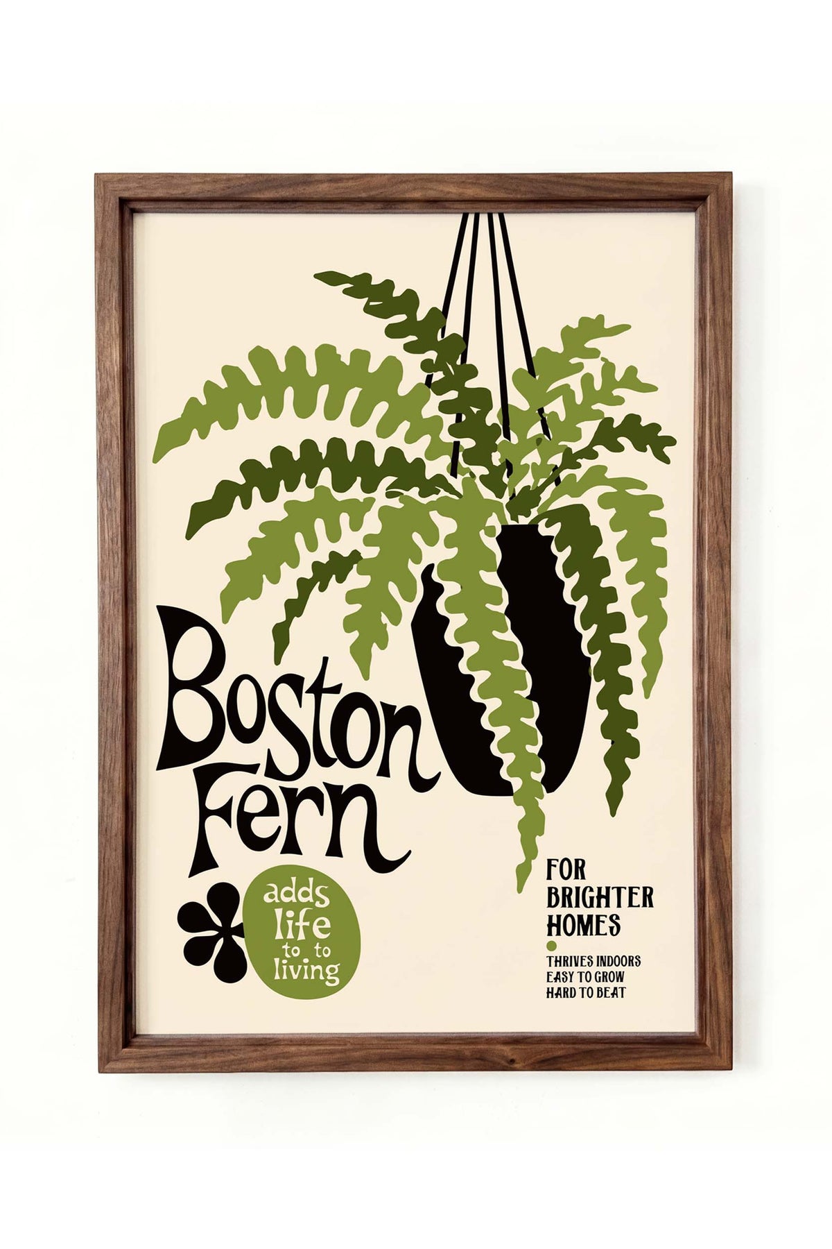 Boston Fern Botanical Print Wall Art