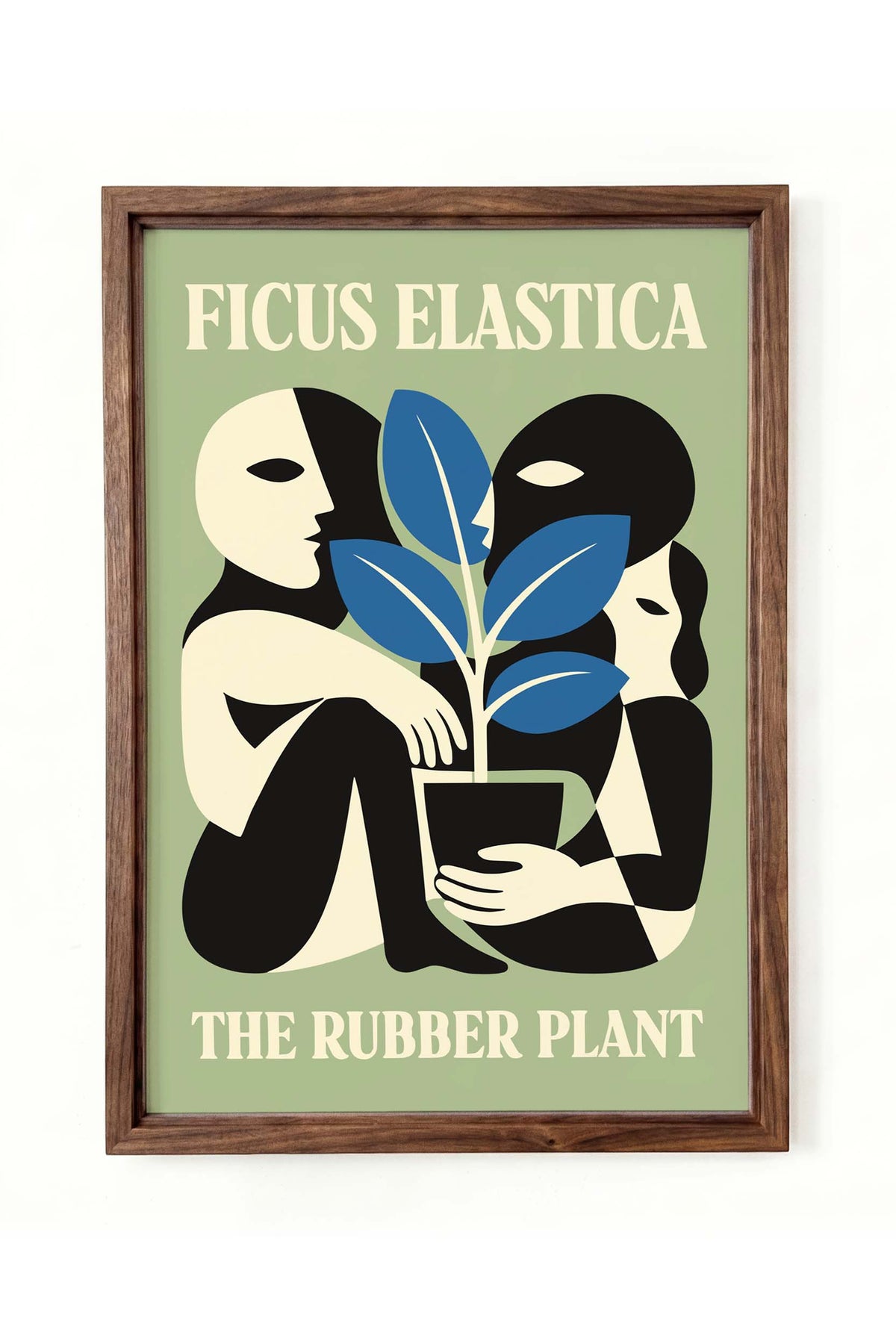 Ficus Elastica Plant Wall Art Print