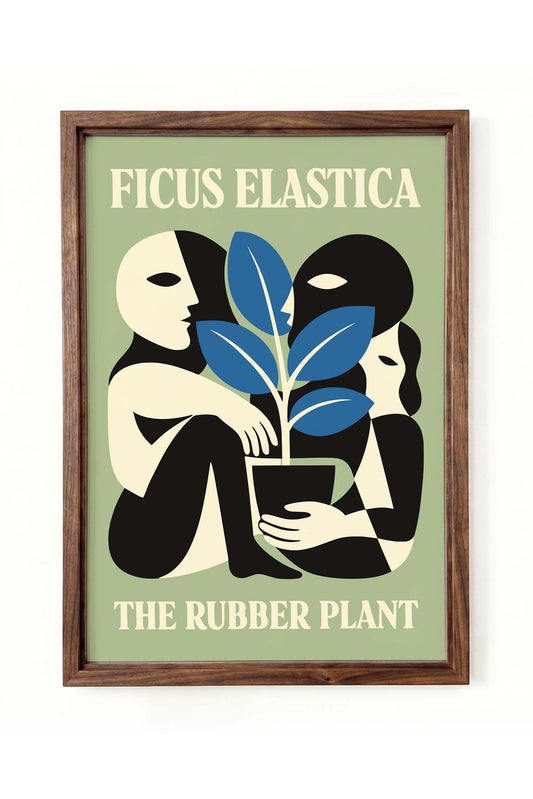 Ficus Elastica Plant Wall Art Print
