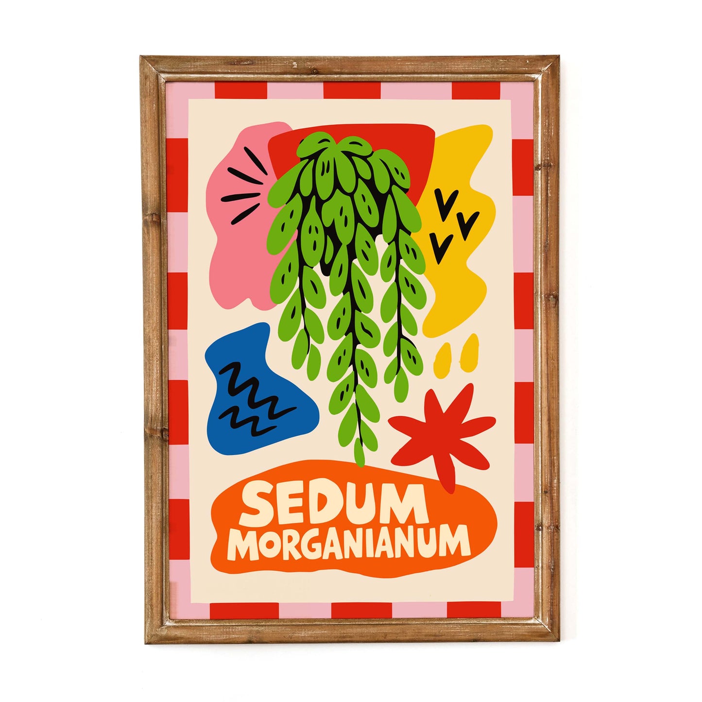 Sedum Morganianum Plant Poster Wall Art