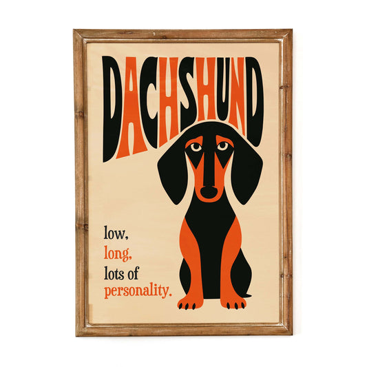 Dachshund Dog Poster Print