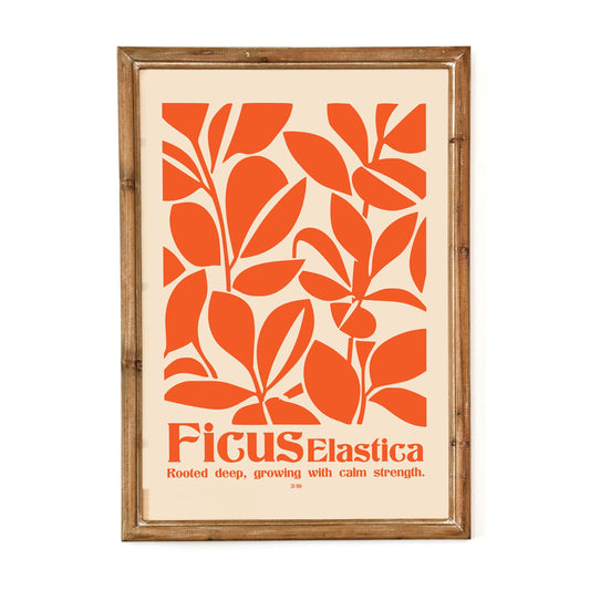 Ficus Elastica Botanical Print