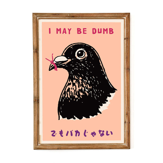 Confused Pigeon Poster