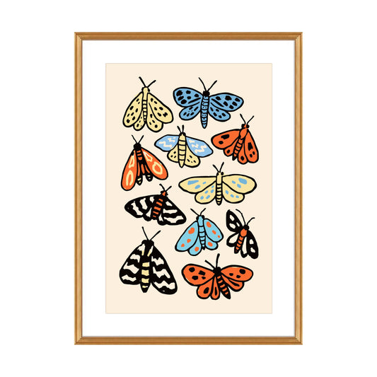 Colorful Moths Collection Poster