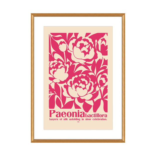 Pink Peony Botanical Art Print
