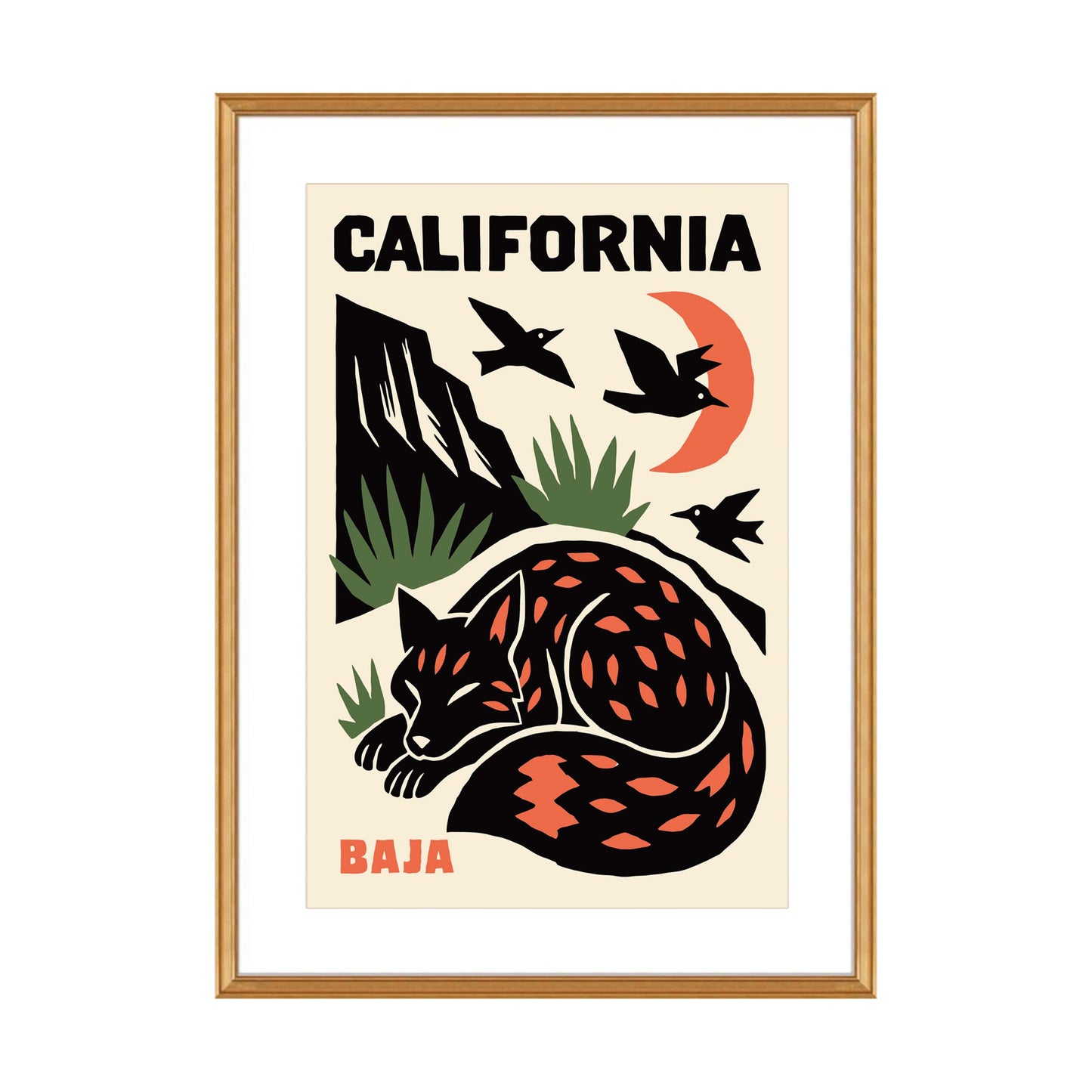 California Baja Fox Poster Print