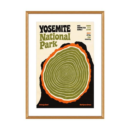 Yosemite National Park Wall Print