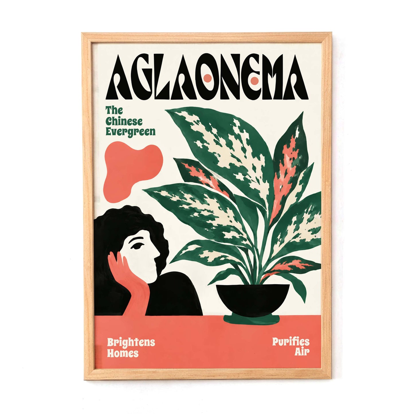 Aglaonema Houseplant Botanical Wall Art
