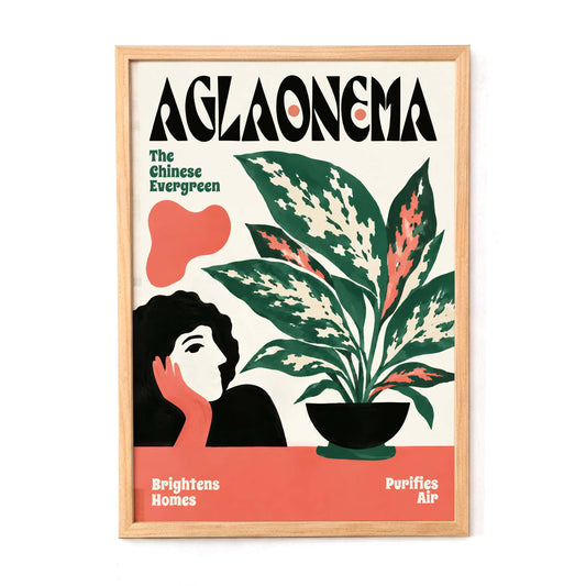 Aglaonema Houseplant Botanical Wall Art
