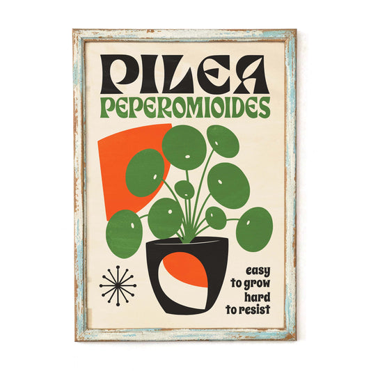 Pilea Plant Poster For Living Room