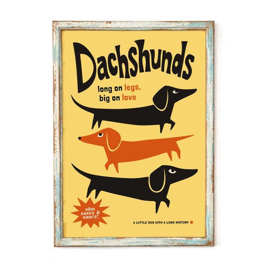 Dachshunds Wall Art