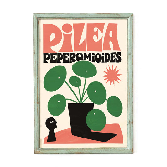 Pilea Peperomioides Plant Poster