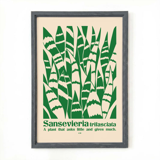 Snake Plant Botanical Wall Art
