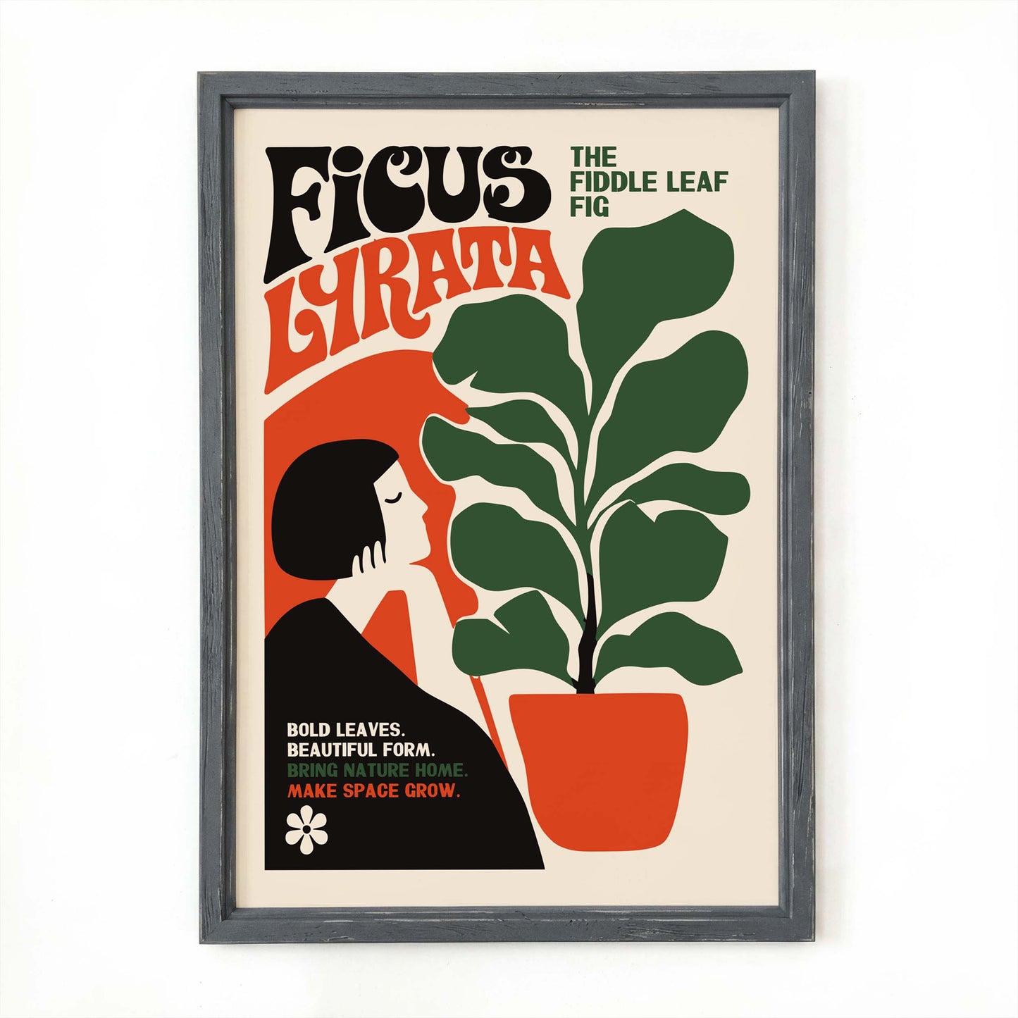 Ficus Lyrata Plant Art Print
