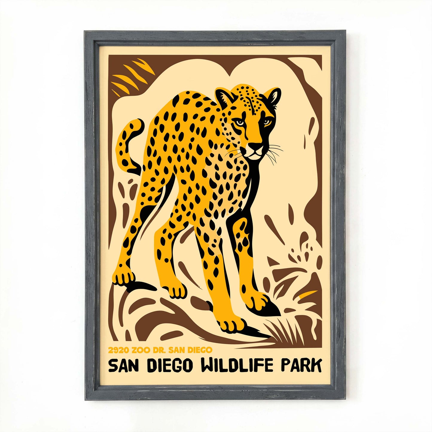 San Diego Cheetah Poster Print