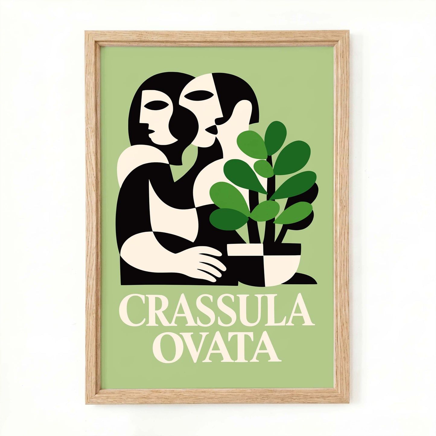 Crassula Ovata Botanical Art Print