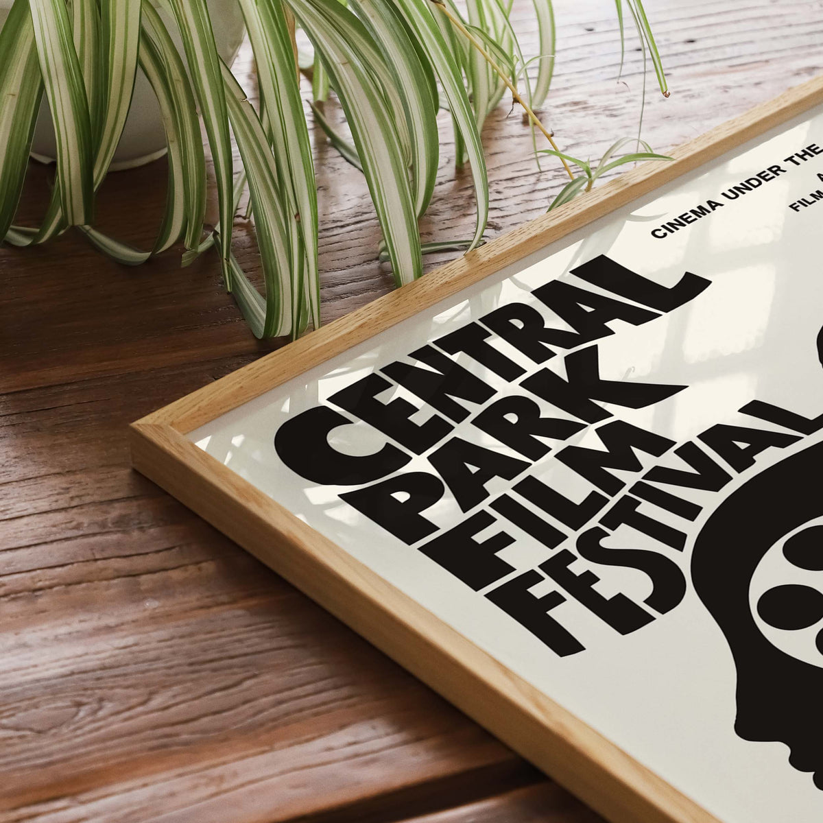 Central Park Film Festival Movie Poster Print