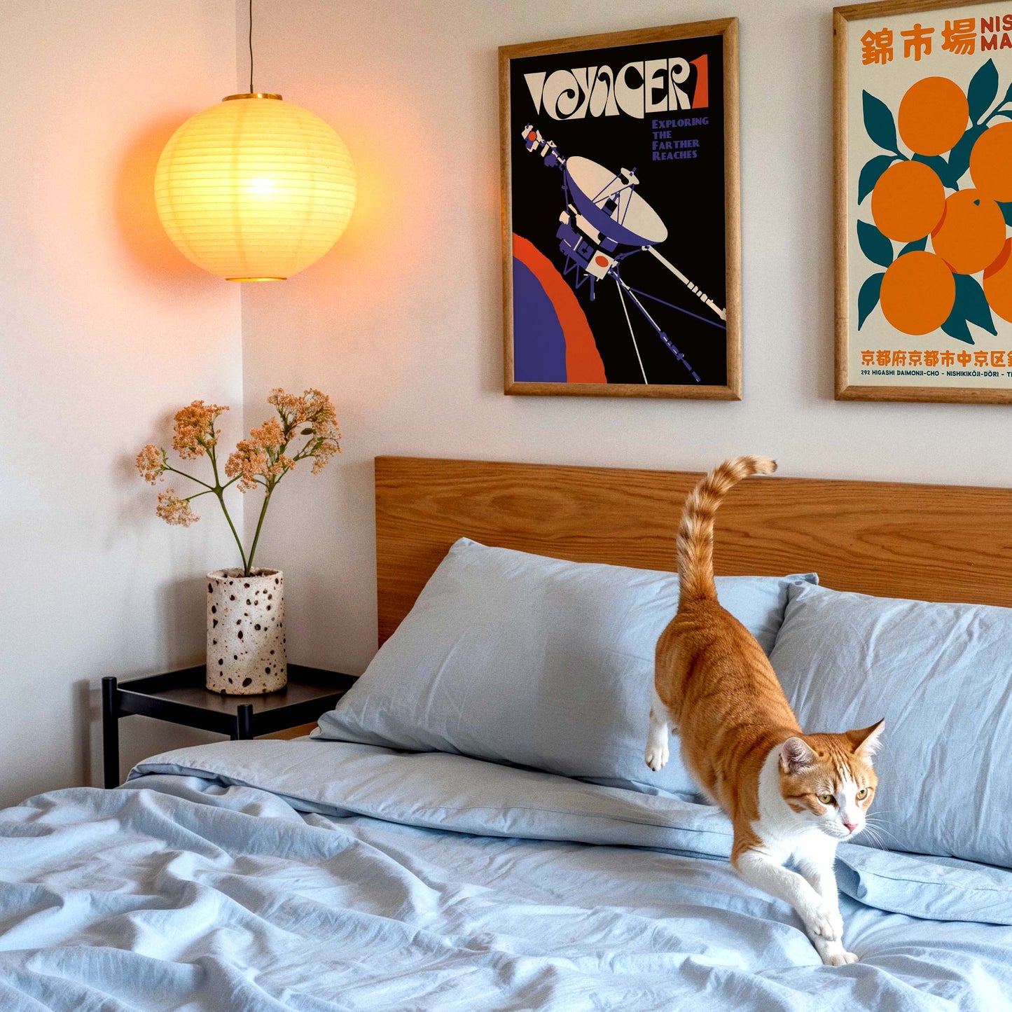 Voyager 1 Poster For Home Office Decor