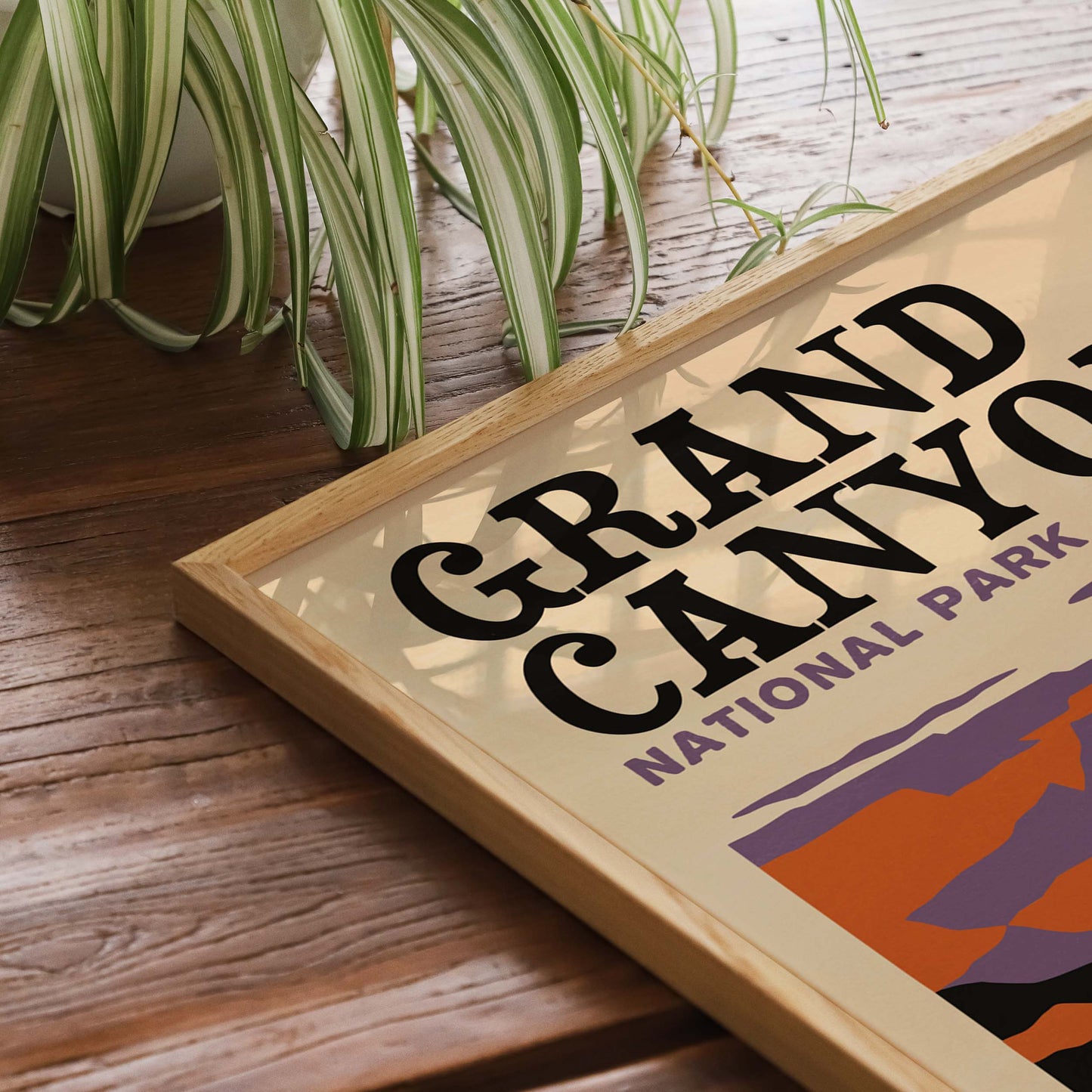 Grand Canyon National Park Poster Print