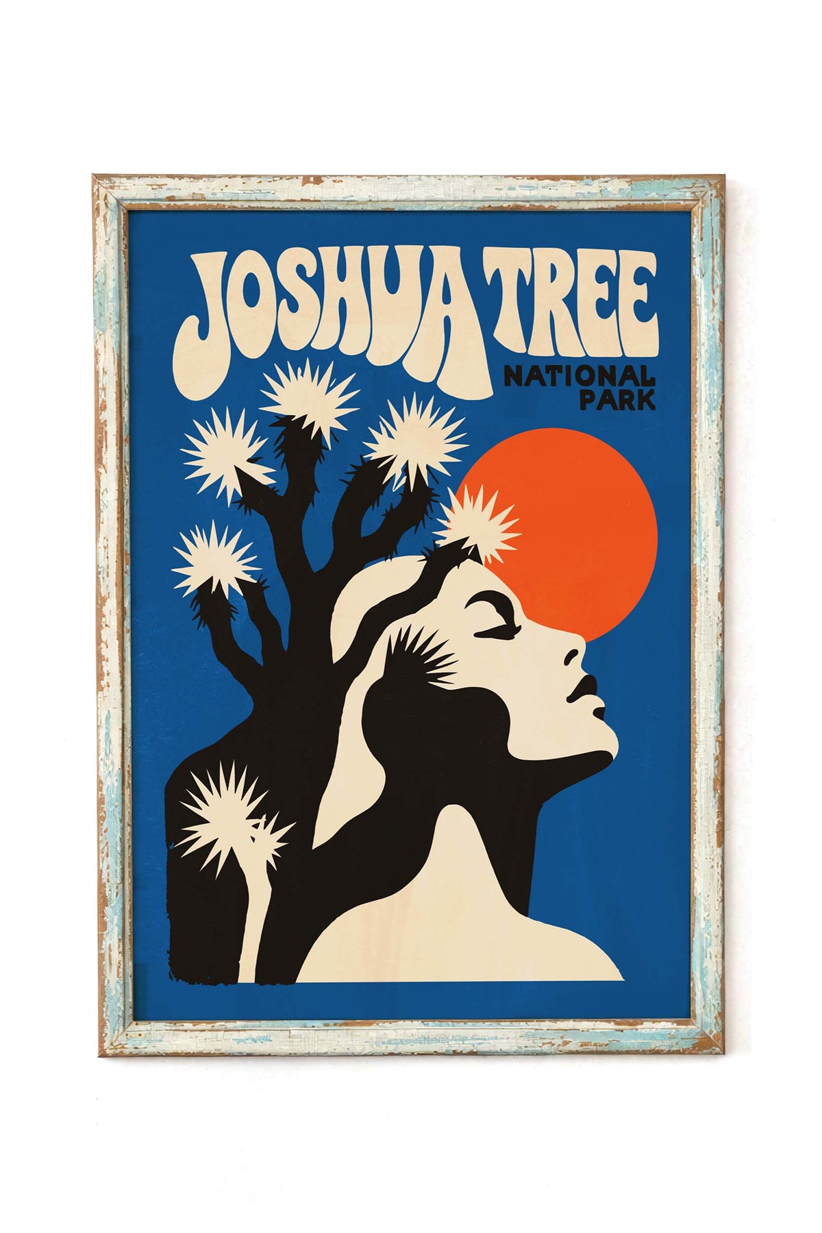 Joshua Tree National Park Poster Print
