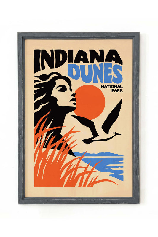 Indiana Dunes National Park Poster