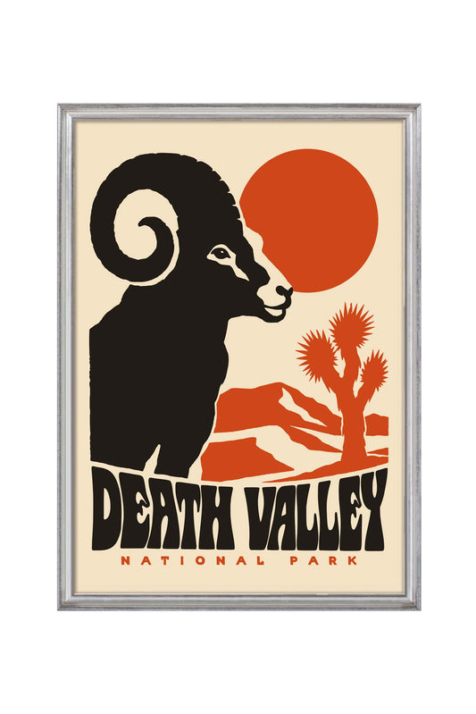 Death Valley National Park Poster