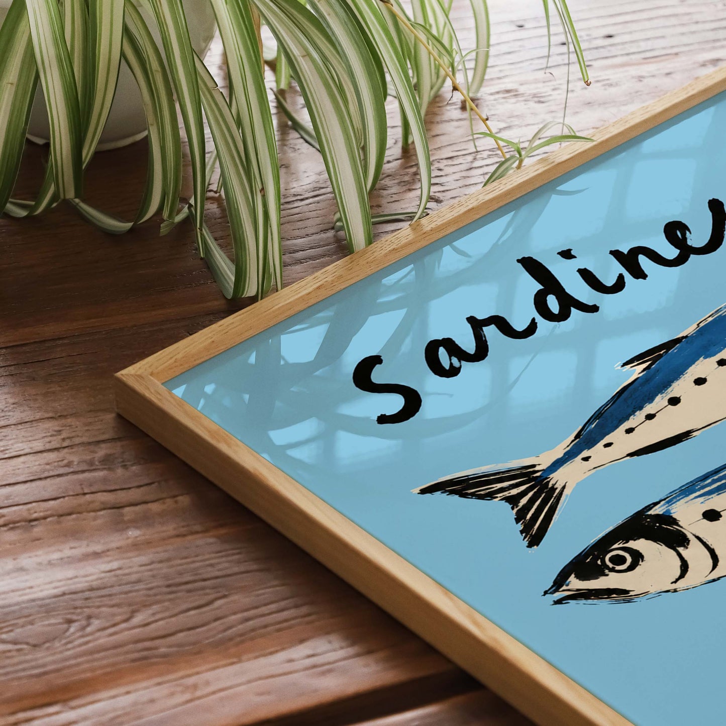 Sardines Fish Poster Print