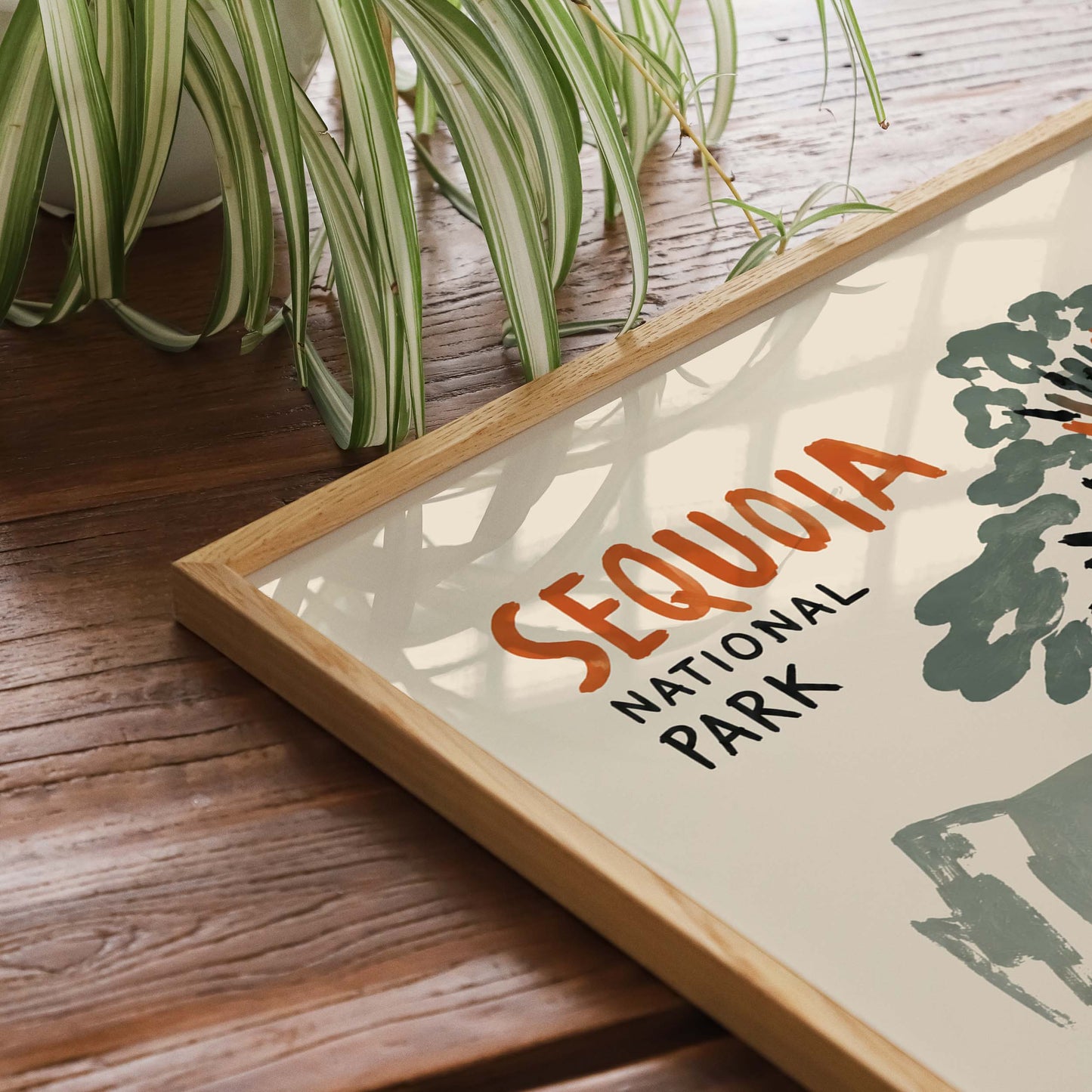 Sequoia National Park Poster