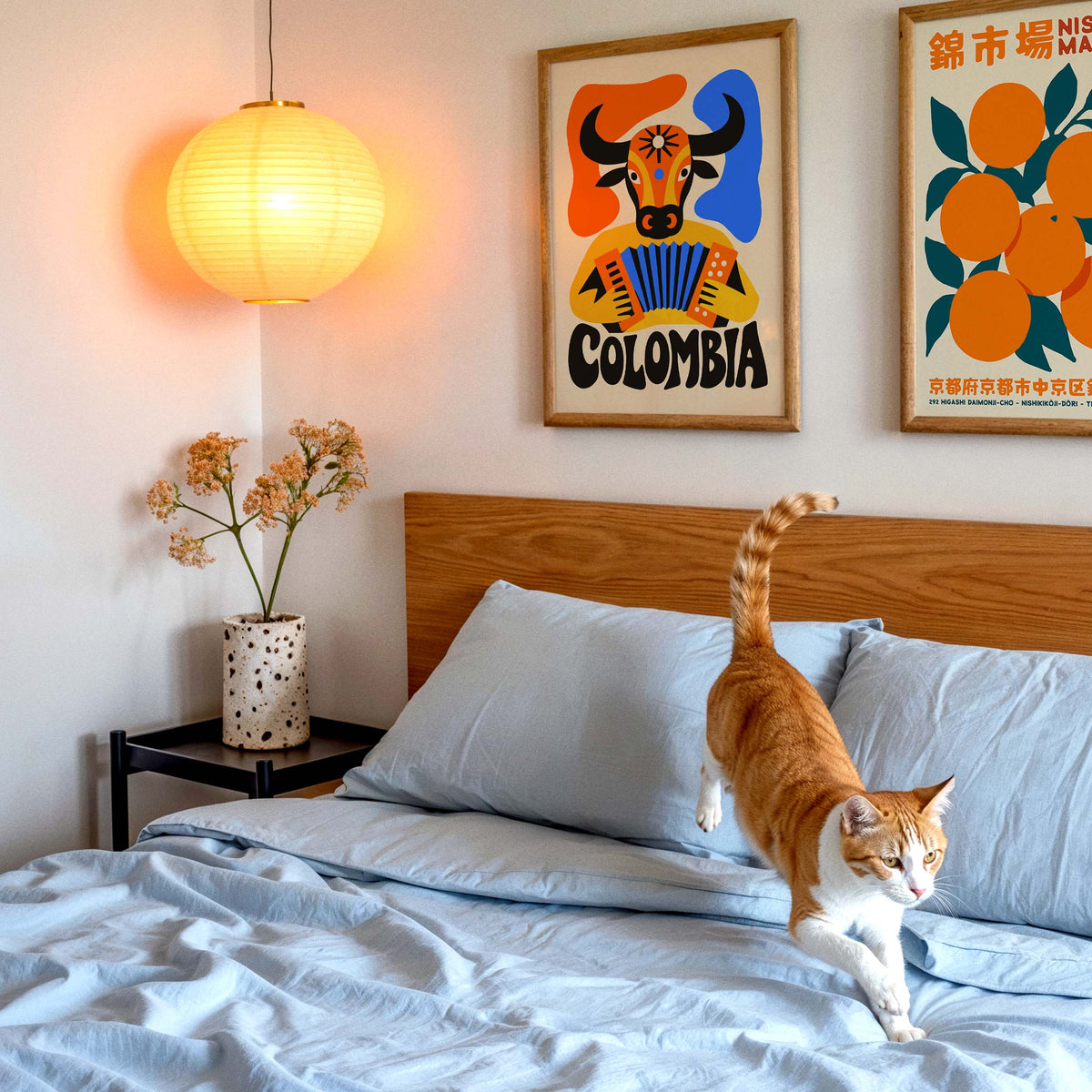 Colombia Accordion Cow Poster
