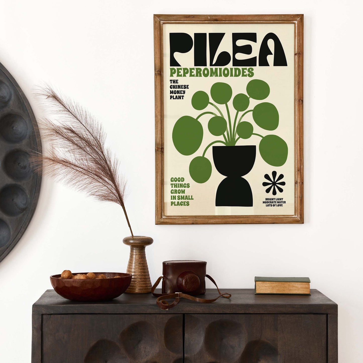Pilea Money Plant Poster