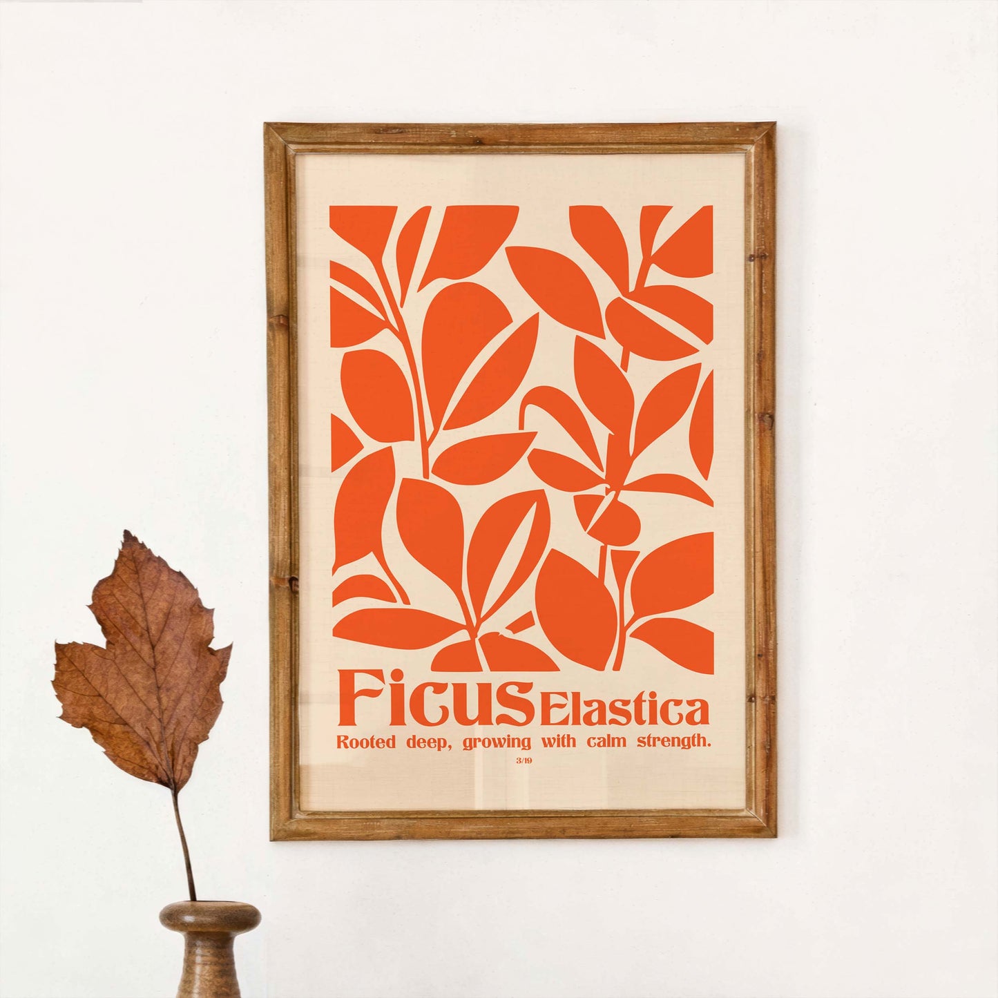 Ficus Elastica Botanical Print