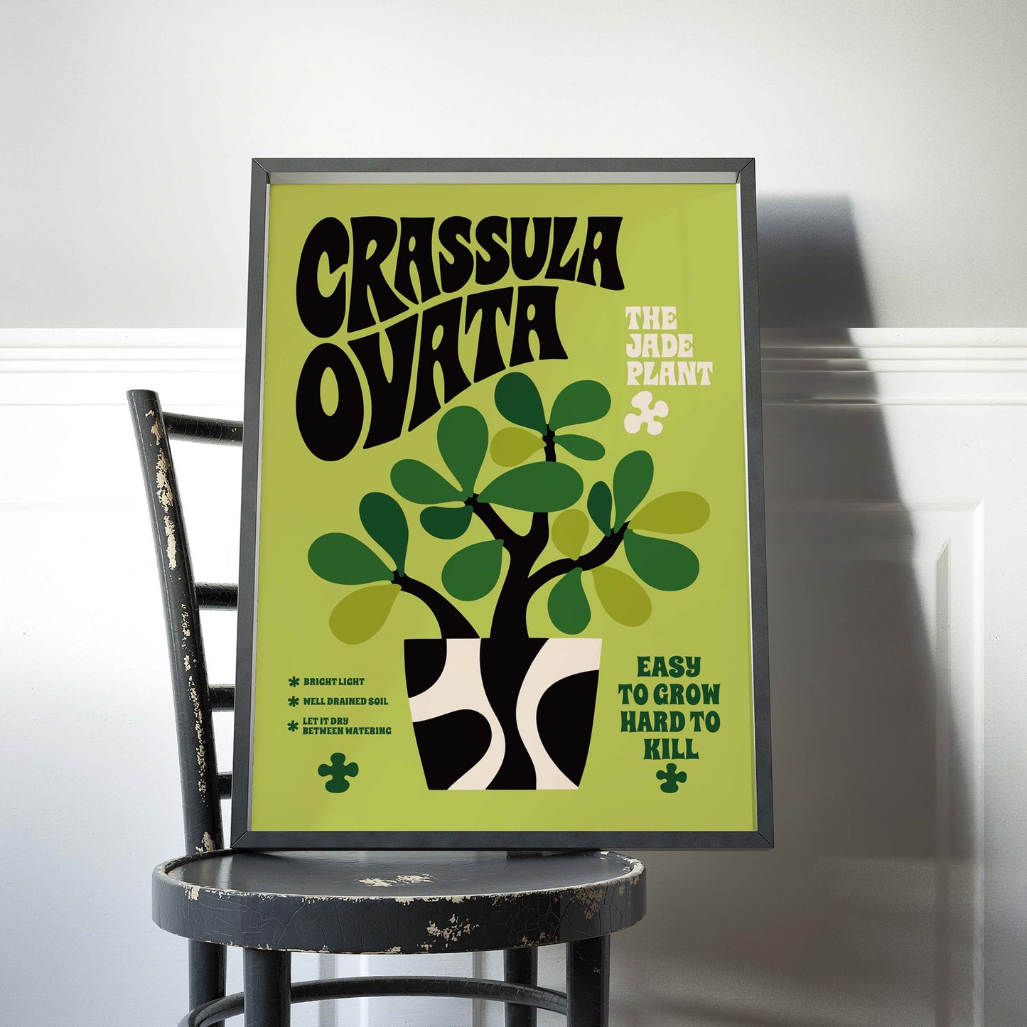 Crassula Ovata Jade Plant Print