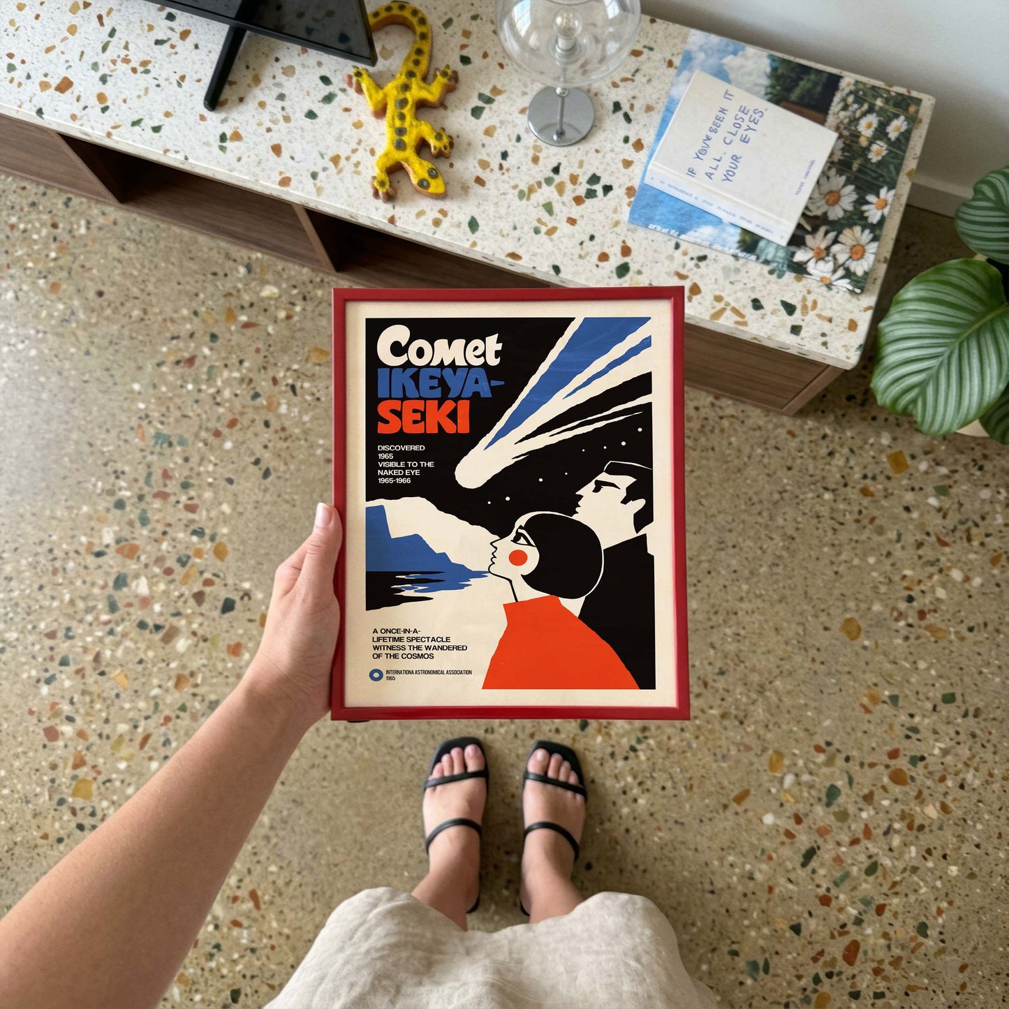 Comet Ikeya Seki Space Poster