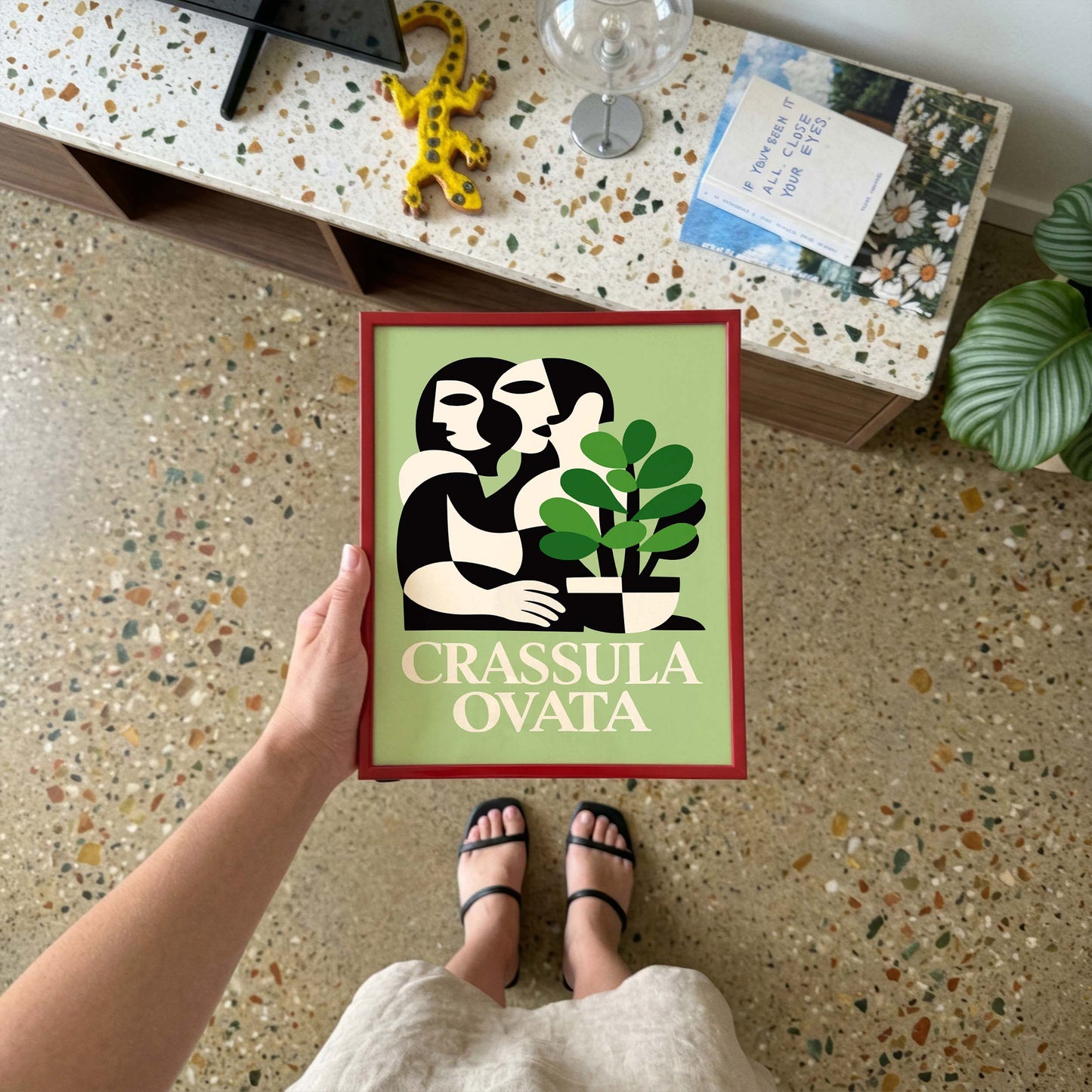Crassula Ovata Botanical Art Print