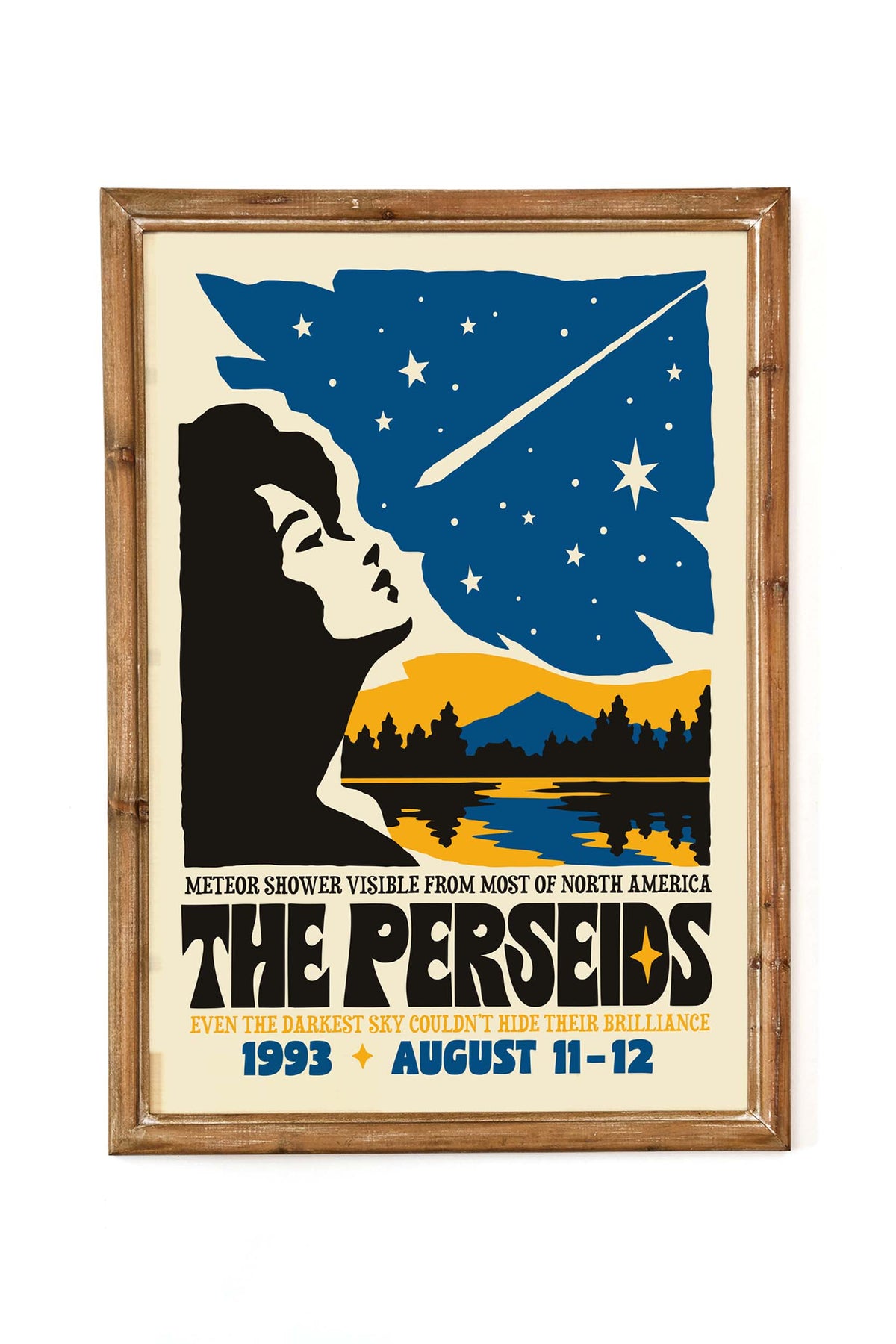 Perseids Meteor Shower Poster