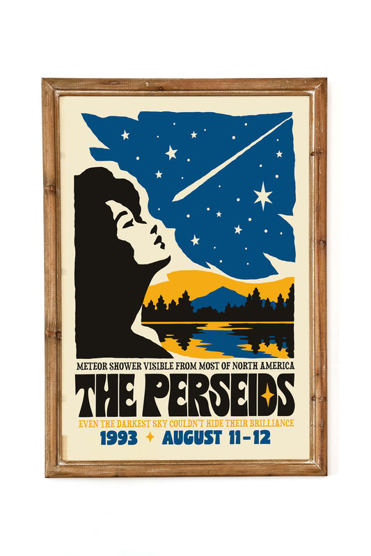 Perseids Meteor Shower Poster