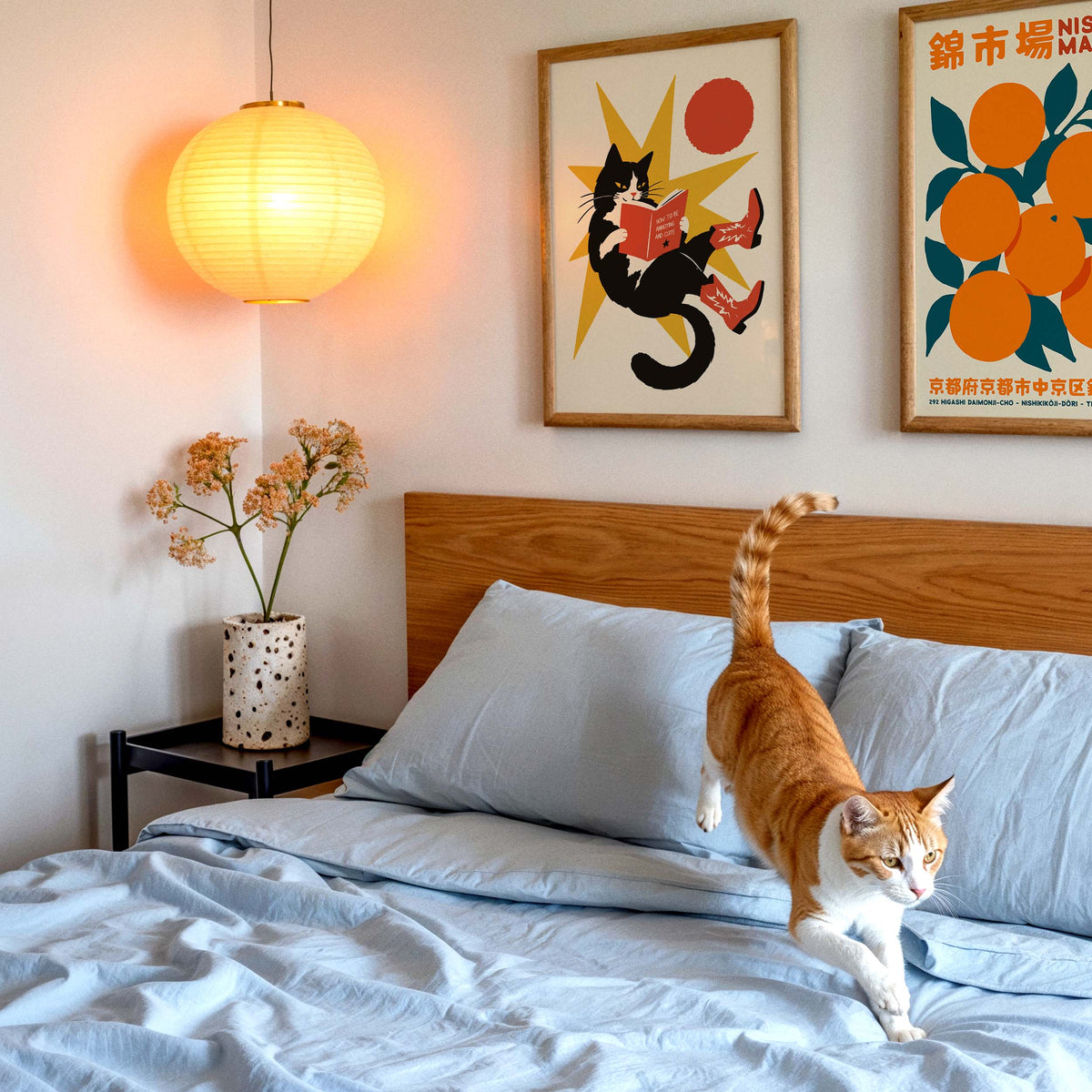 Cat Reading Funny Wall Art